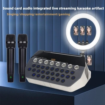 Беспроводная Bluetooth-Акустическая система sSeaker На открытом Воздухе, Портативная Многофункциональная Звуковая карта Для Караоке Со Сверхдлинной Выносливостью и аудио All-In-On