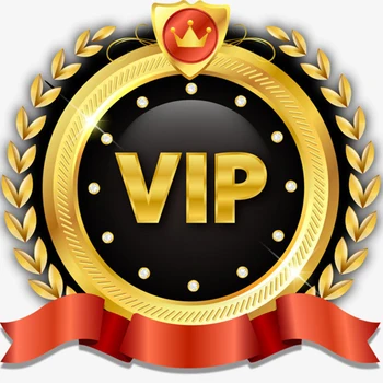 Стоимость VIP-доставки/разница в почтовых расходах и дополнительная оплата вашего заказа и дополнительные сборы 1